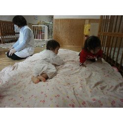 11��15���@�����@�����V��_52