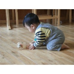 11��15���@�����@�����V��_53