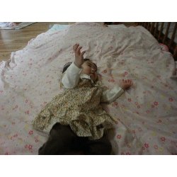 11��15���@�����@�����V��_54