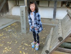 11��19���@�����@���p�ۈ�_30