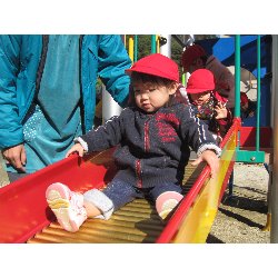 11��19���@������@�����݂̐X_1