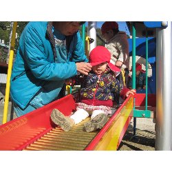 11��19���@������@�����݂̐X_2