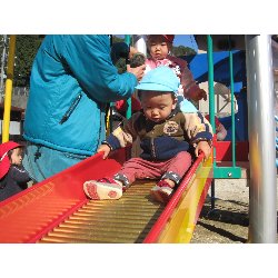 11��19���@������@�����݂̐X_3