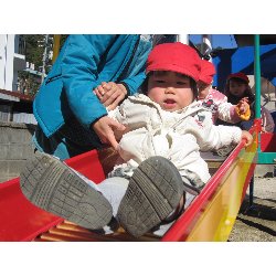 11��19���@������@�����݂̐X_4