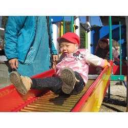 11��19���@������@�����݂̐X_5