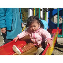 11��19���@������@�����݂̐X_7