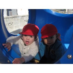 11��19���@������@�����݂̐X_8