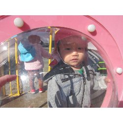 11��19���@������@�����݂̐X_9