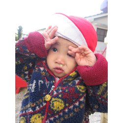 11��19���@������@�����݂̐X_11