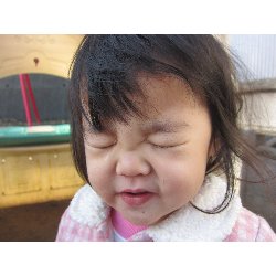 11��19���@������@�����݂̐X_12