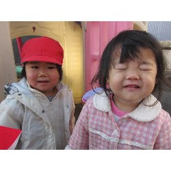 11��19���@������@�����݂̐X_13