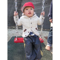 11��19���@������@�����݂̐X_14