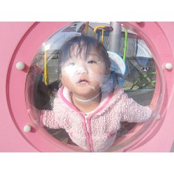 11��19���@������@�����݂̐X_17