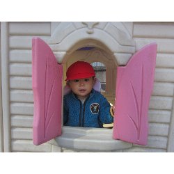 11��19���@������@�����݂̐X_18