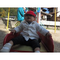 11��19���@������@�����݂̐X_19