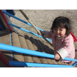 11��19���@������@�����݂̐X_20