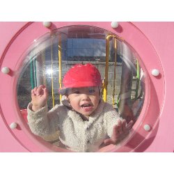 11��19���@������@�����݂̐X_21