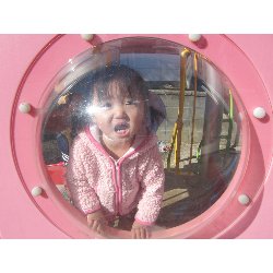 11��19���@������@�����݂̐X_22