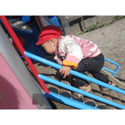 11��19���@������@�����݂̐X_26