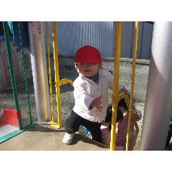 11��19���@������@�����݂̐X_28