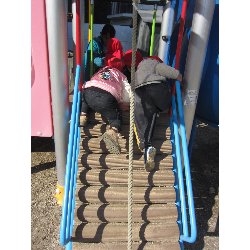 11��19���@������@�����݂̐X_29