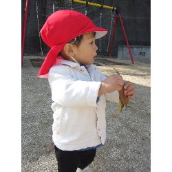 11��19���@������@�����݂̐X_31