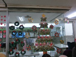 11��21���@�Ђ܂��@�������ږK��@_1