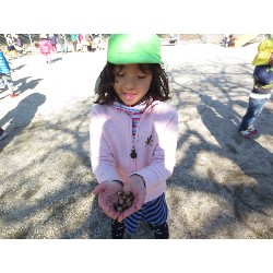 11��22���@�����E���݂�@�������_1