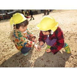 11��22���@�����E���݂�@�������_8