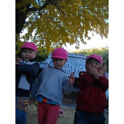 11��22���@��񂰁@�ˊO�V��_2