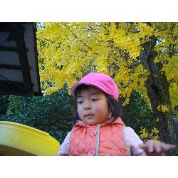 11��22���@��񂰁@�ˊO�V��_6