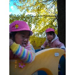 11��22���@��񂰁@�ˊO�V��_8