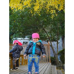 11��22���@��񂰁@�ˊO�V��_10