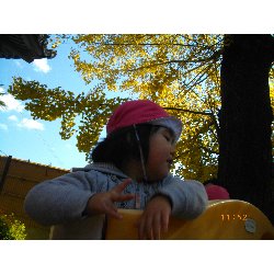 11��22���@��񂰁@�ˊO�V��_12