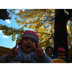 11��22���@��񂰁@�ˊO�V��_13