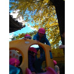 11��22���@��񂰁@�ˊO�V��_15