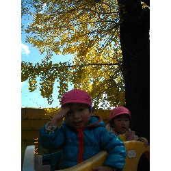 11��22���@��񂰁@�ˊO�V��_17