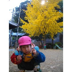 11��22���@��񂰁@�ˊO�V��_18