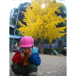 11��22���@��񂰁@�ˊO�V��_19