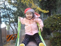 11��22���@����ۂہ@�ˊO(����)�V��_1