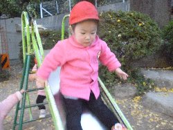 11��22���@����ۂہ@�ˊO(����)�V��_3