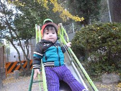 11��22���@����ۂہ@�ˊO(����)�V��_11