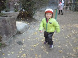 11��22���@����ۂہ@�ˊO(����)�V��_13