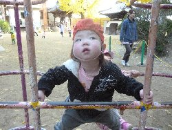 11��22���@����ۂہ@�ˊO(����)�V��_17