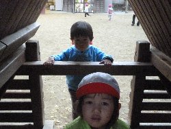 11��22���@����ۂہ@�ˊO(����)�V��_19