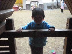 11��22���@����ۂہ@�ˊO(����)�V��_20