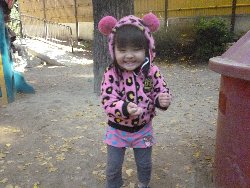 11��22���@����ۂہ@�ˊO(����)�V��_29