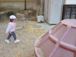 11��22���@����ۂہ@�ˊO(����)�V��_30