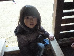 11��22���@����ۂہ@�ˊO(����)�V��_32