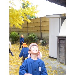 11��25���@�Ђ܂��@�ˊO������_10